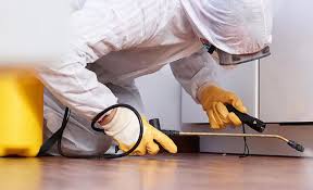 Best Termite Inspection and Treatment  in Gridley, CA